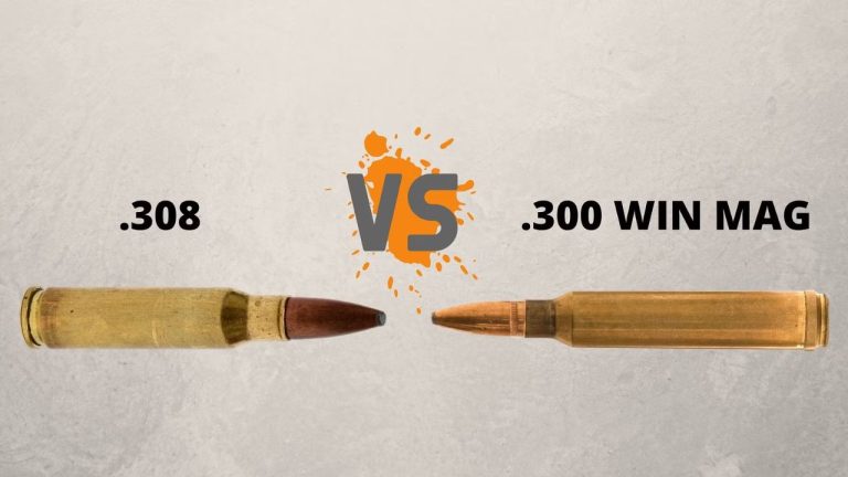 Comparing The Power And Precision: 300 Win Mag v. 308
