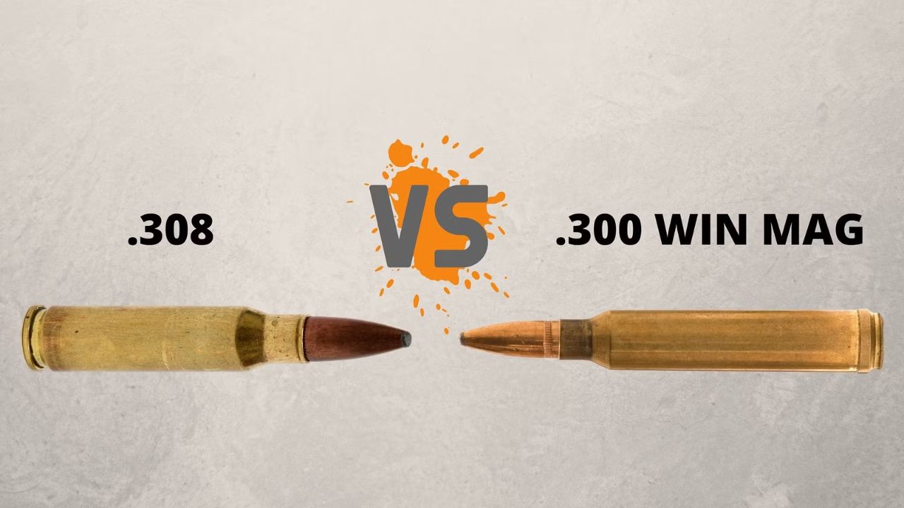 Comparing The Power And Precision 300 Win Mag v. 308