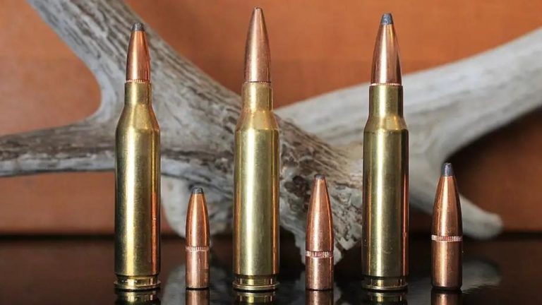 270 vs 308: Choosing The Right Caliber For Your Rifle