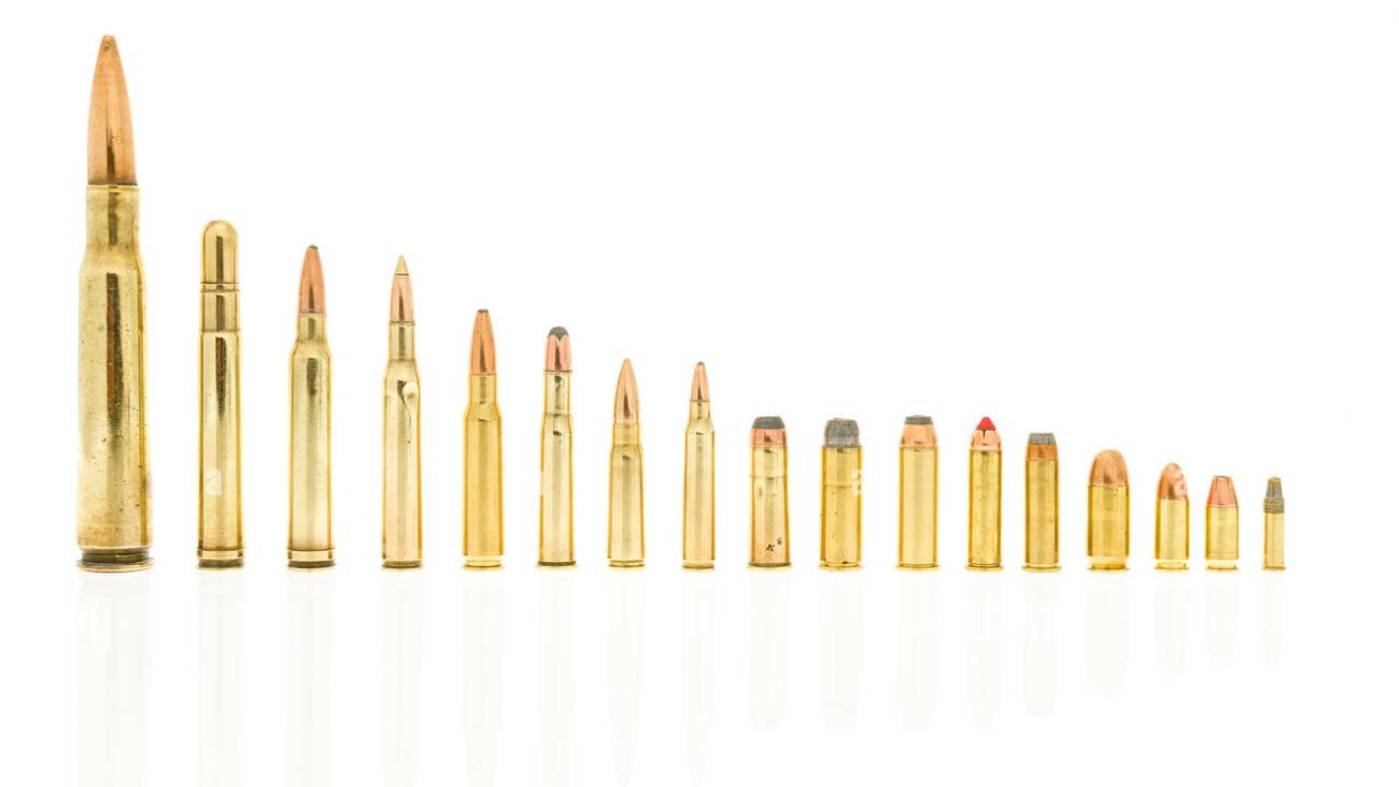 Significance of the 270 vs 308 Calibers