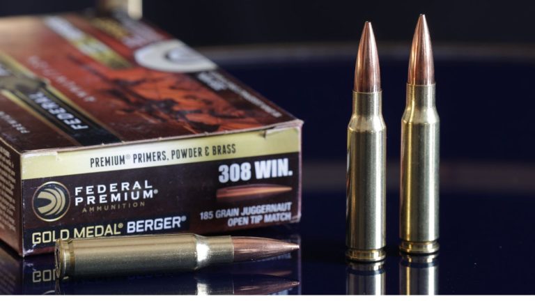 Unveiling the Power of .308 Win